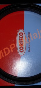 Simering butuc pentru punti Carraro