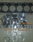 Set pistoane complete + cuzineti si garnitura chiulasa Iveco Aifo F4BE0684B