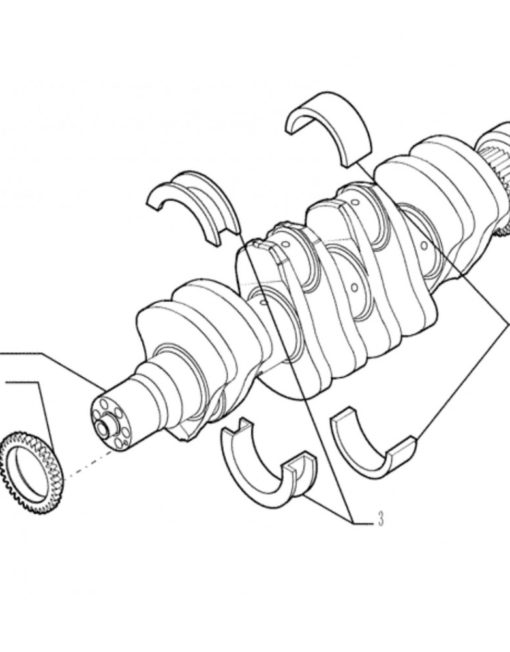Arbore cotit (vibrochen) Iveco 504345406